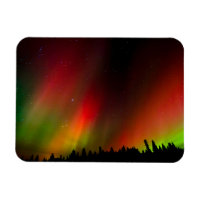 Aurora Boreal e árvores