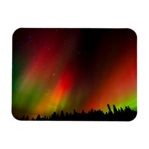 Íman Aurora Boreal e árvores