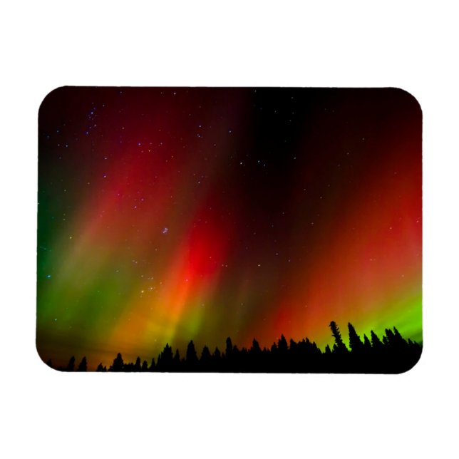 Íman Aurora Boreal e árvores (Horizontal)