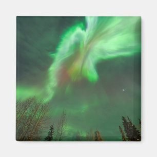 Íman Aurora Boreal Luzes do Norte Fairbanks