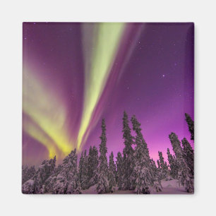 Íman Aurora Boreal Luzes do Norte Fairbanks Alasca