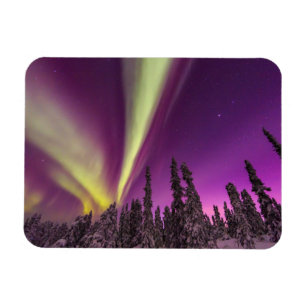 Íman Aurora Boreal Luzes do Norte Fairbanks Alasca