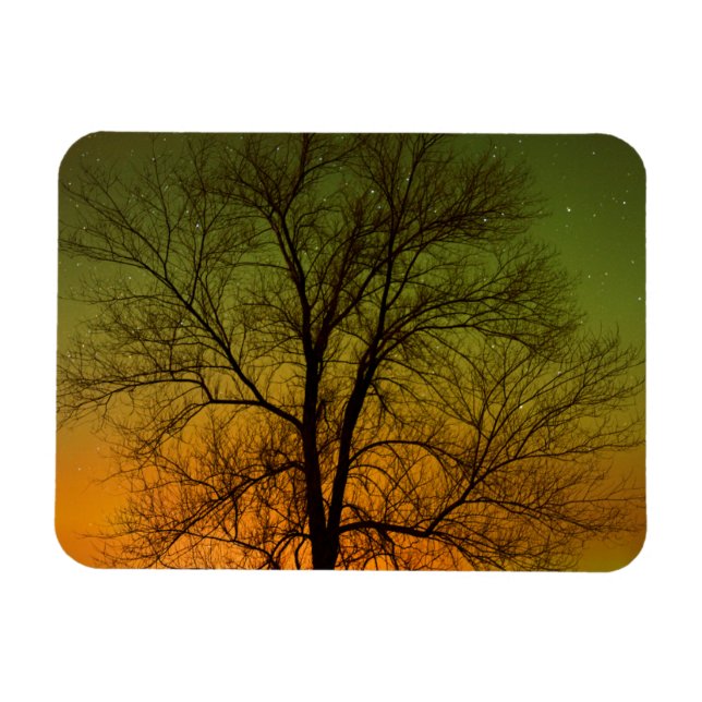 Íman Aurora Borealis & Cottonwood Tree (Horizontal)