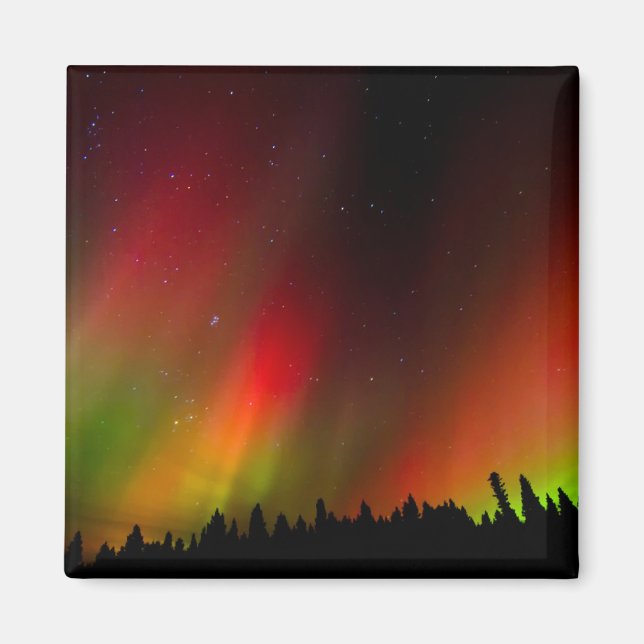 Íman Aurora Borealis e árvores (Frente)