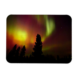 Íman Aurora Borealis e Árvores
