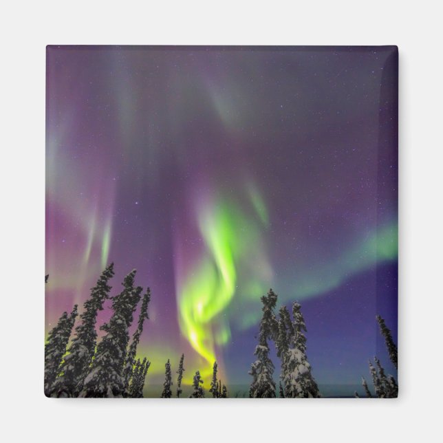Íman Aurora Borealis | Fairbanks, Alaska (Frente)