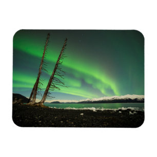 Íman Aurora de árvore inclinada