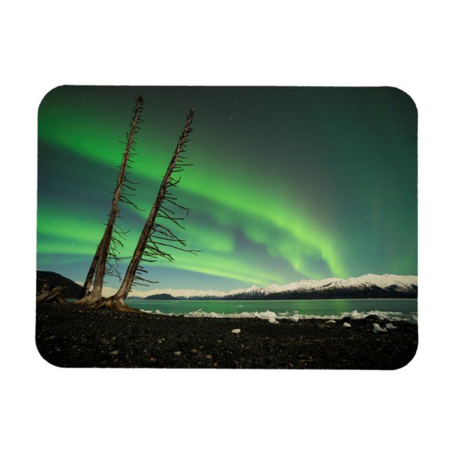 Íman Aurora de árvore inclinada (Horizontal)