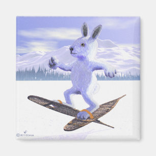 Íman Aurora de Snowshoe