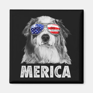 Íman Aussie australian shepherd 4 de julho merica
