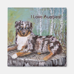 Íman Aussie vermelho de Merle - flor bonita
