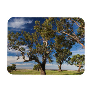 Íman Austrália, Barossa Valley, Mount Pleasant