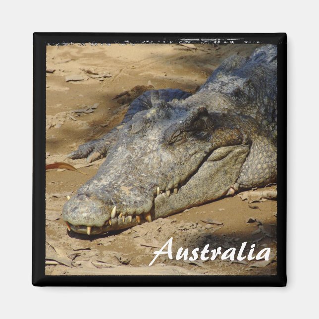 Íman Austrália, Crocodilo, Bush (Magnet) (Frente)