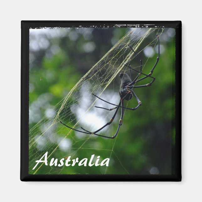 Íman Austrália, Natureza Selvagem, Aranha (Magnet) (Frente)