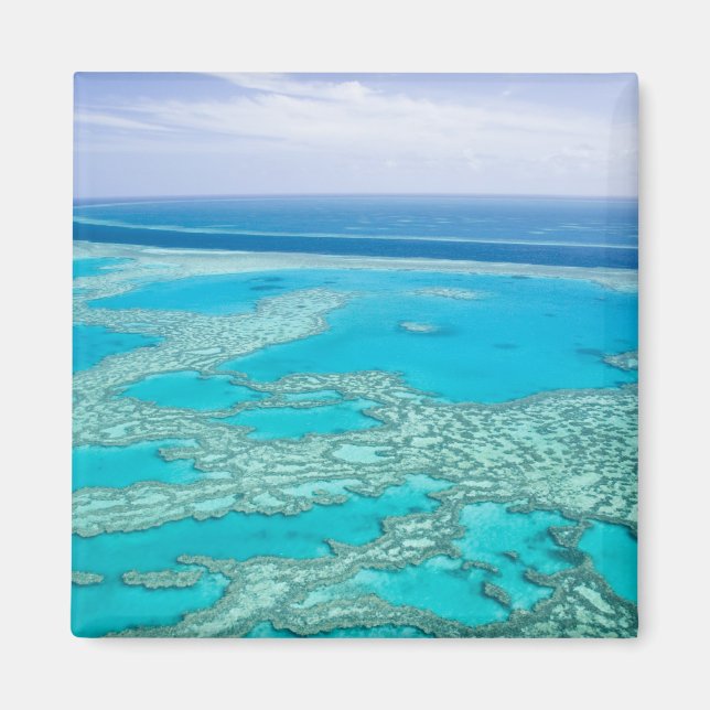 Íman Austrália, Queensland, Costa de Whitsunday, Grande (Frente)