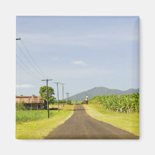 Íman Austrália, Queensland, Costa Norte, Babinda.