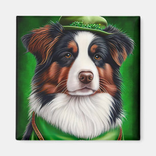 Íman Australian Shepherd dog in St. Patrick's Day Dress