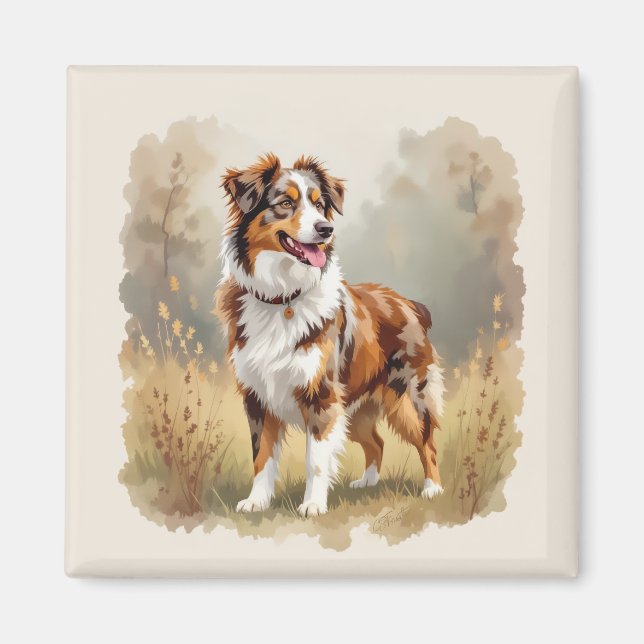 Íman Australian Shepherd Dog Red Merle Aussie (Frente)