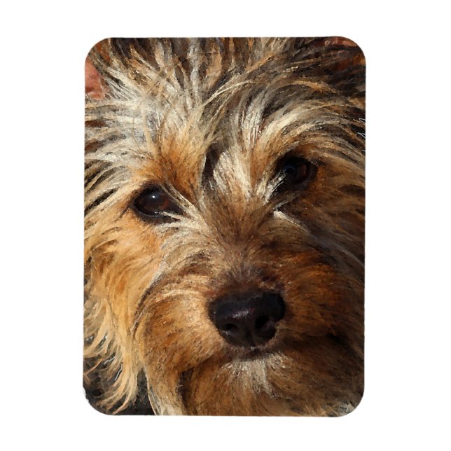 Íman Australiano Silky Terrier (Vertical)