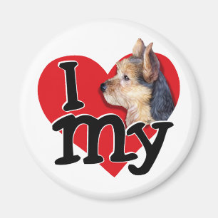 Íman australiano Terrier I (coração) my