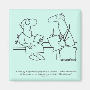 Íman Autodiagnóstico