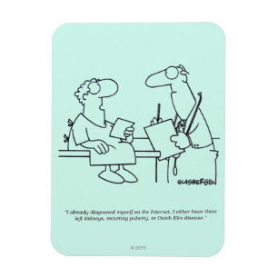 Íman Autodiagnóstico