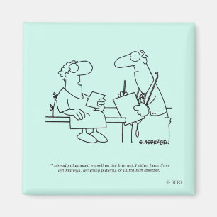 Íman Autodiagnóstico