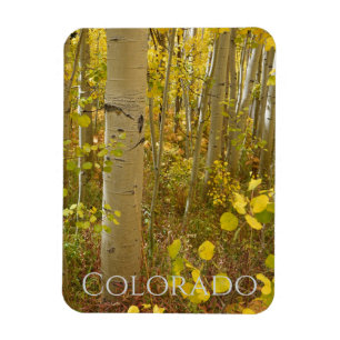 Íman Autumn Aspende sobre Independência no Colorado