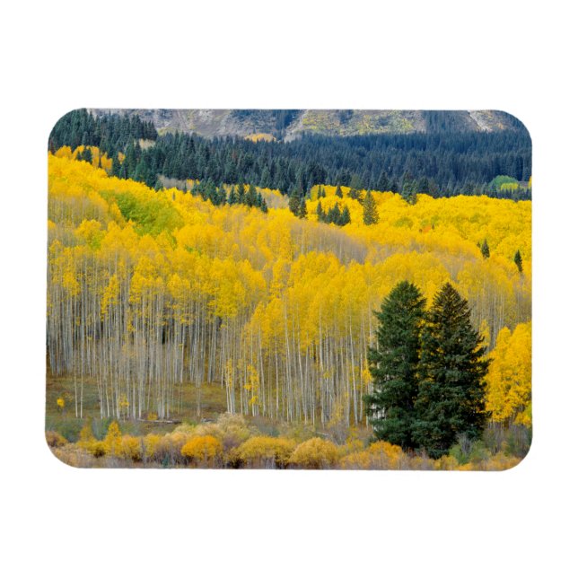 Íman Autumn Aspens no Ruby Range (Horizontal)