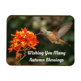 Íman Autumn Bembeleja O Hummingbird Flexible Magnet