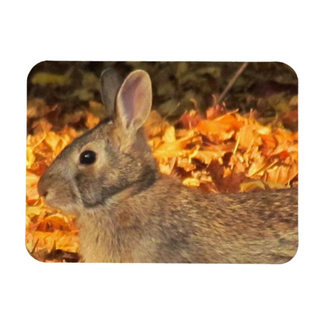 Íman Autumn Bunny (Horizontal)
