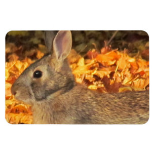 Íman Autumn Bunny