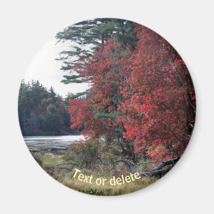 Íman Autumn Foliage Pond Nature Photoics