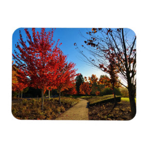 Íman Autumn in Park, Oregon