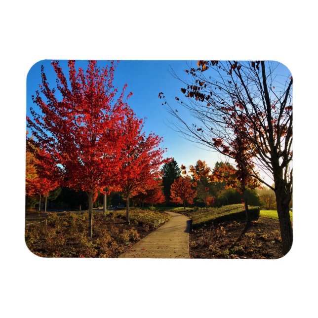 Íman Autumn in Park, Oregon (Horizontal)