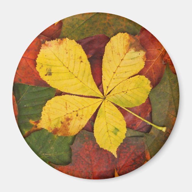 Íman Autumn Leaf Magnet (Frente)