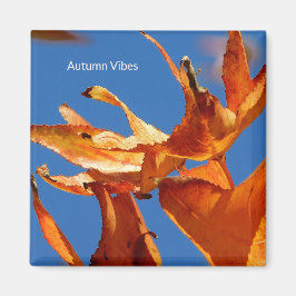 Íman "Autumn Leaves on Blue Sky"