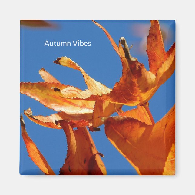 Íman "Autumn Leaves on Blue Sky" (Frente)