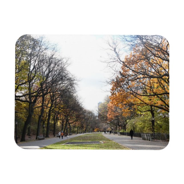 Íman Autumn Leaves Riverside Park Nova Iorque NYC (Horizontal)