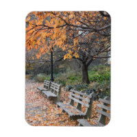 Autumn Leaves Riverside Park Nova Iorque NYC
