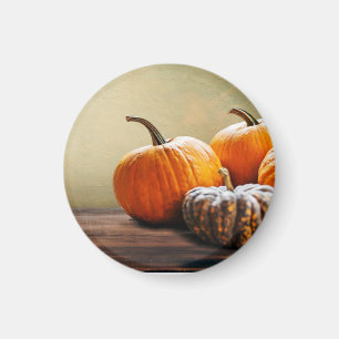 Íman Autumn Pumpkins Ação de Graças e Halloween ainda.