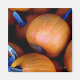 Íman 'Autumn Pumpkins' Magnet