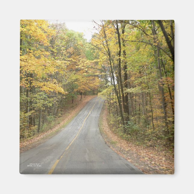 Íman Autumn Road Magnet (Frente)
