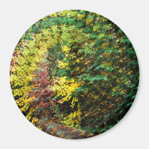 Íman Autumn Whirlwind.....