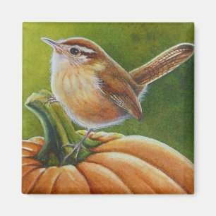 Íman Autumn Wren Bird em Orange Pumpkin Watercolor Art