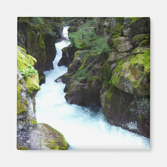 Íman Avalanche Gorge I no Glacier National Park (Frente)