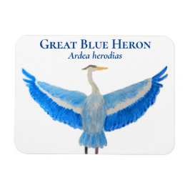 Íman Ave Aquarela Excelente Científico Azul Herão