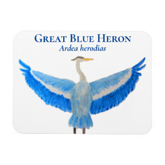 Íman Ave Aquarela Excelente Científico Azul Herão