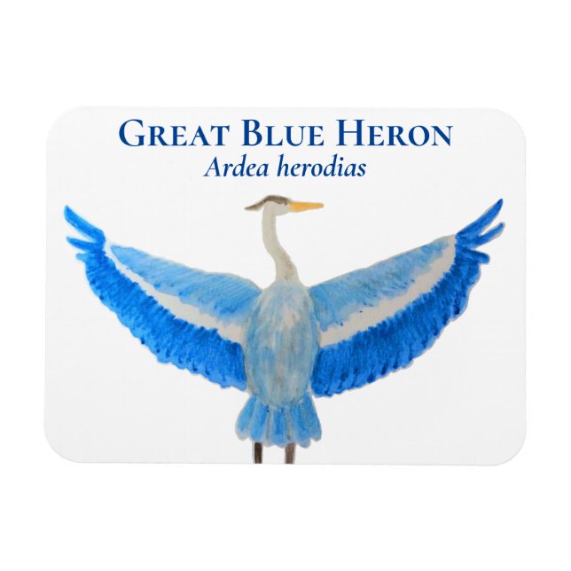 Íman Ave Aquarela Excelente Científico Azul Herão (Horizontal)