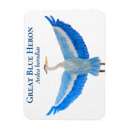 Íman Ave Aquarela Excelente Científico Azul Herão